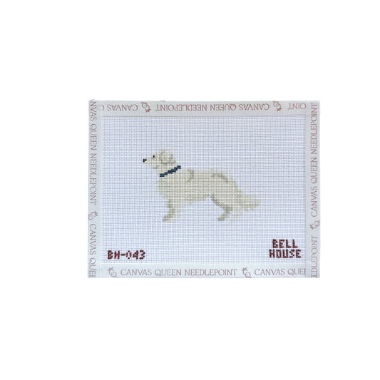 English Cream Golden Retriever