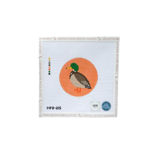 Mallard Duck