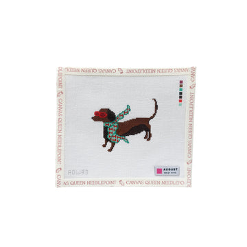 Bougie Dachshund