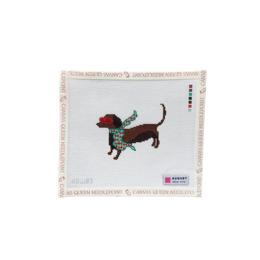 Bougie Dachshund