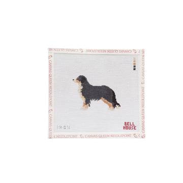 Bernese Mountain Dog (BH)