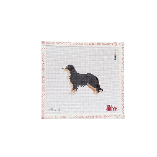 Bernese Mountain Dog (BH)