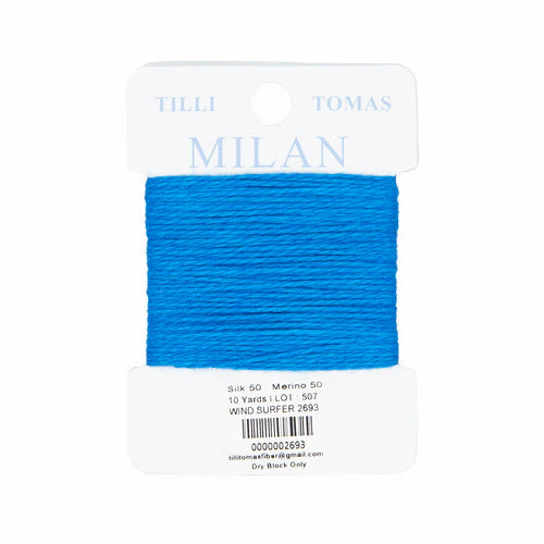 Milan Card 2693 Wind Surfer