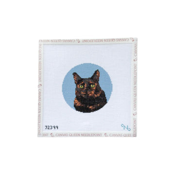 Tortoise Shell Cat
