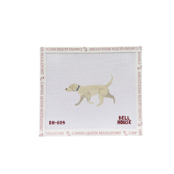 Yellow Lab