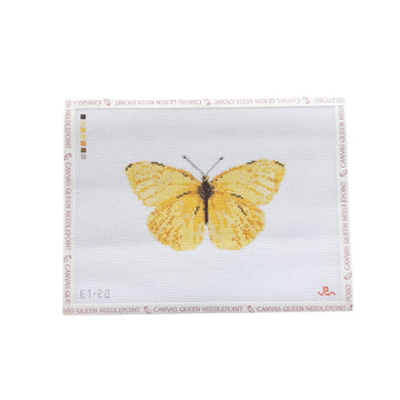 Cloudless Sulfur Butterfly