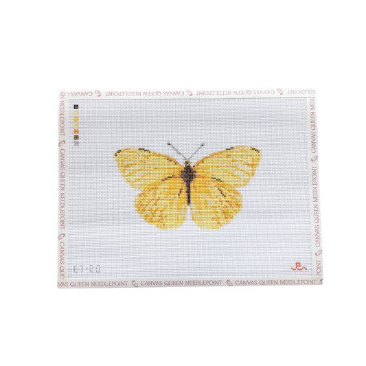 Cloudless Sulfur Butterfly