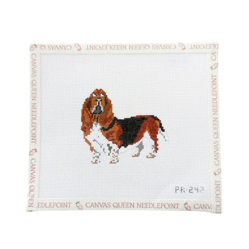 Basset Hound