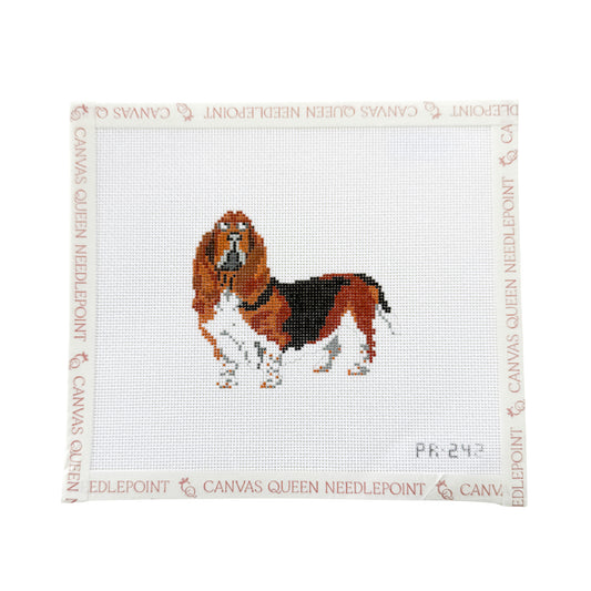 Basset Hound