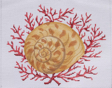 Moon Snail Shell with Coral (Trunk Show)