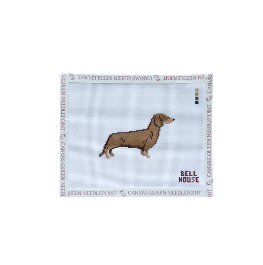 Dachshund - Red