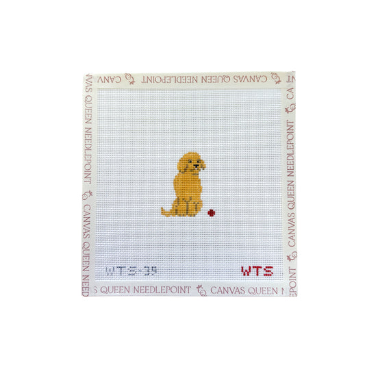 Mini Golden Retriever