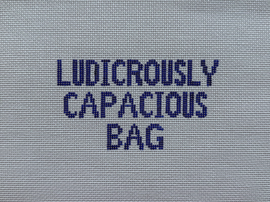 Ludicrously Capacious Bag