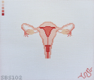 Uterus (cross section)