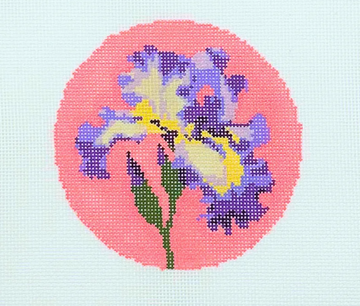 Iris Flower