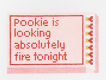 Pookie is Looking Fire Matchbook