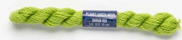 Planet Earth Merino Wool 058 Shrub