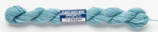 Planet Earth Merino Wool 077 Caneel Bay