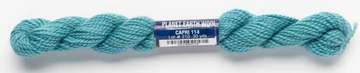 Planet Earth Merino Wool 114 Capri