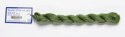 Milan Skein 1729 Holly