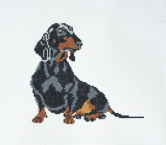 Gretel the Dachshund