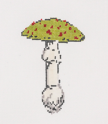 Olive Mushroom