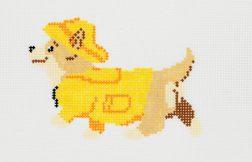 Corgi in a Raincoat
