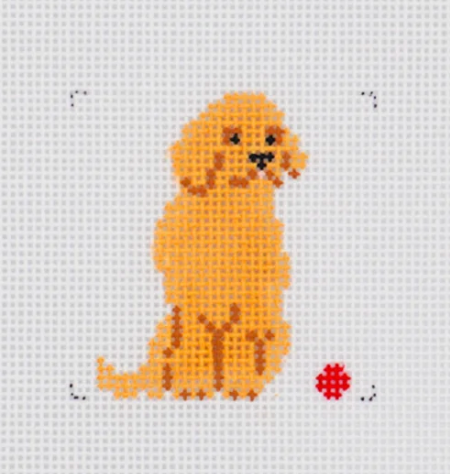 Mini Golden Retriever