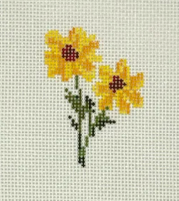 Mini Texas Black Eyed Susan