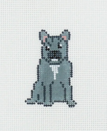 Mini Frenchie