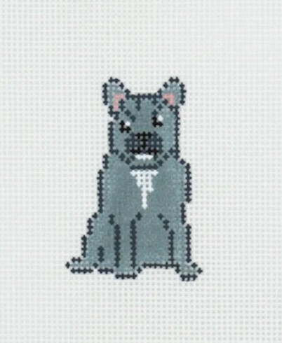 Mini Frenchie