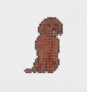 Mini Chocolate Lab