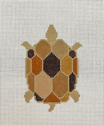 Brown Turtle