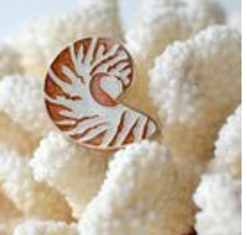 Nautilus Shell Needle Minder