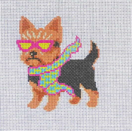 Bougie Yorkie