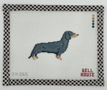 Dachshund - Black & Tan