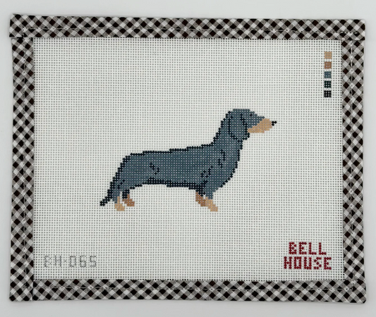 Dachshund - Black & Tan