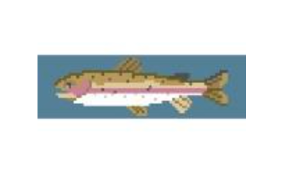 Small Trout Bookmark