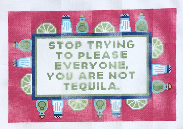 You are Not Tequila Pillow
