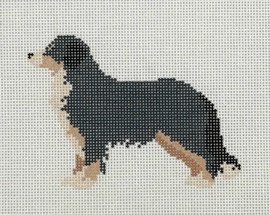 Bernese Mountain Dog (BH)