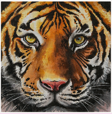 Close Up Tiger Face Pillow