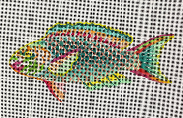 COP Rainbow Fish