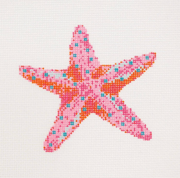 Starfish Orange/Pink/Blue