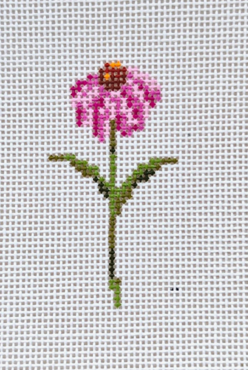 Mini Coneflower