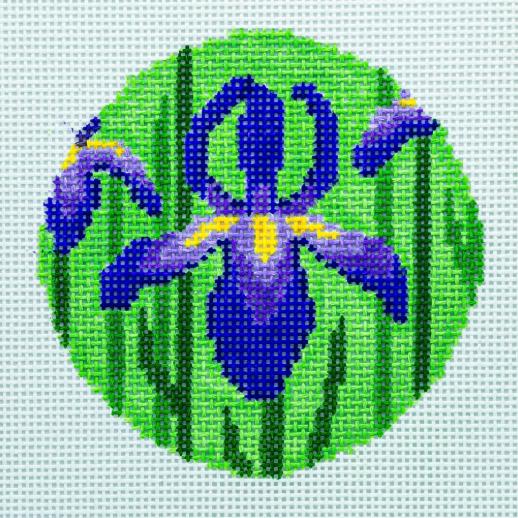 Iris Round (Needle Nola)