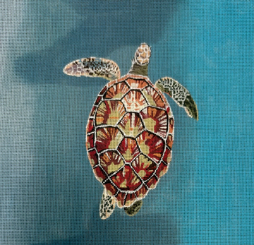 Large Sea Turtle in Water Overhead