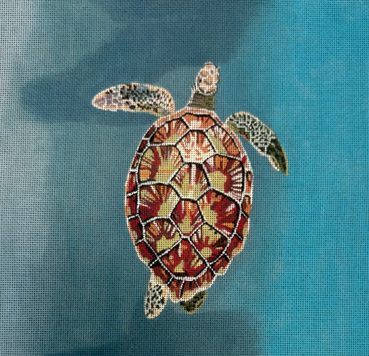 Large Sea Turtle in Water Overhead