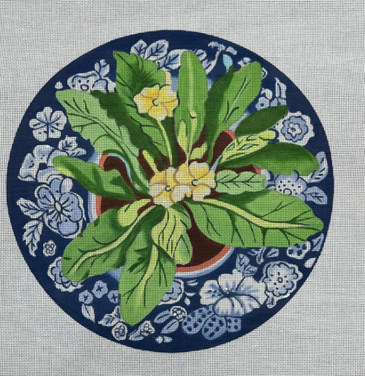 Primrose on Blue Plate