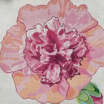 Ruffled Hollyhock