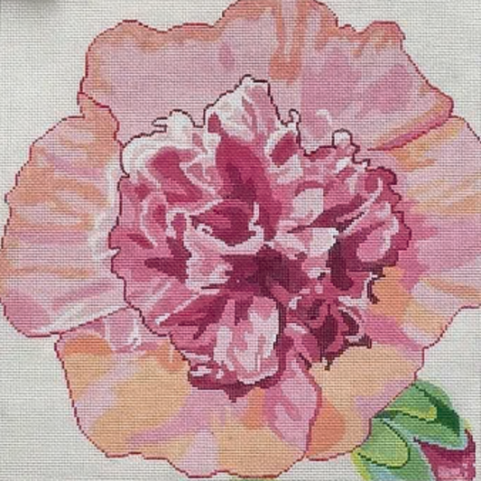 Ruffled Hollyhock
